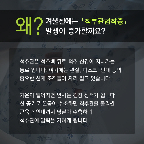 cbaeed758916010.jpg